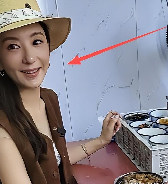 南博原院长徐湖平获刑三年:法律合规之下,文博公信力的全面丧失