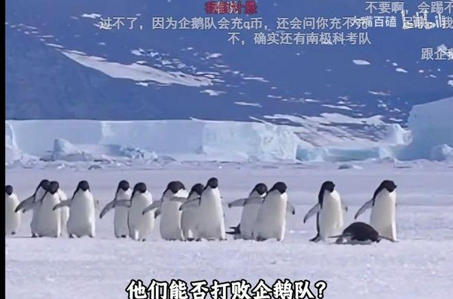 卢卡库替补造乌龙 比利时战平埃及