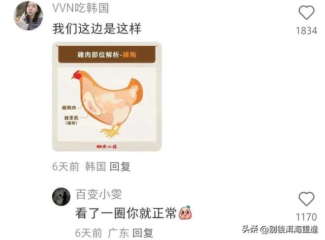 北京男篮给陈盈骏开顶薪，范子铭将受重用，替补中锋首选，赵睿留队不外租